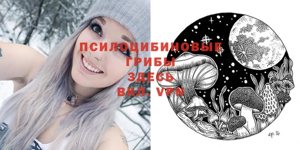 твердый Аркадак