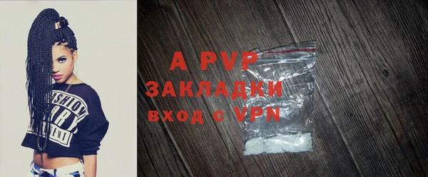 твердый Аркадак