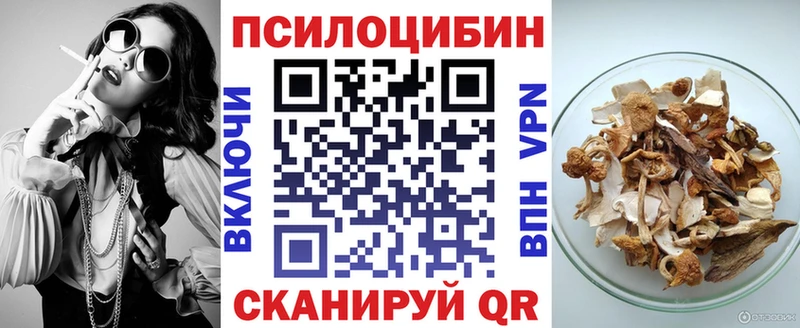 Псилоцибиновые грибы Cubensis купить сайты Пошехонье